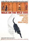 Walk On The Wild Side (1962).jpg